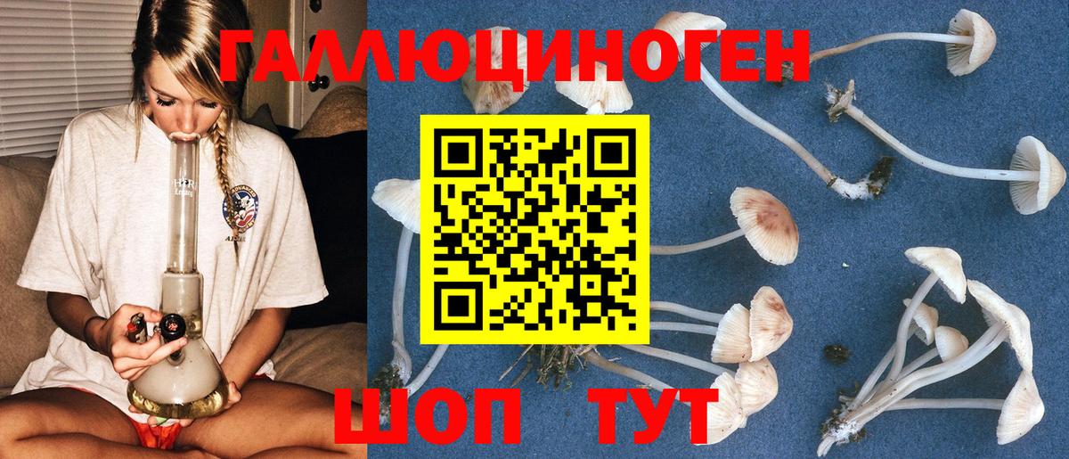 Волжский  Псилоцибиновые грибы ЛСД  Вход с VPN 