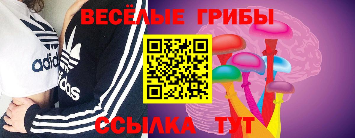 Псилоцибиновые грибы Cubensis Волжский