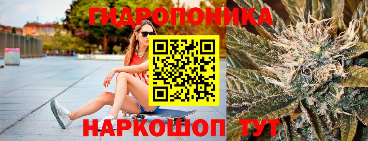 Бошки марихуана индика  Конопля план  Вход с VPN  Волжский 